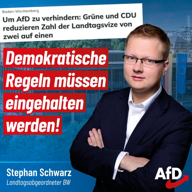 CDU & Grüne streichen Vizepräsidentenposten
