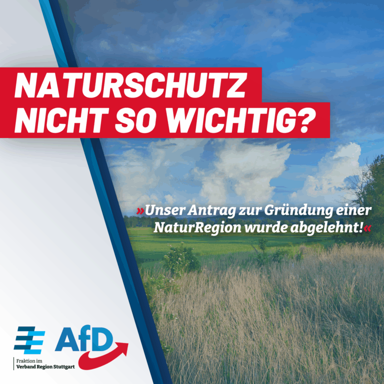 🌱 Naturschutz nicht so wichtig? Unser Antrag zur Gr&uuml;ndung einer NaturRegion wurde abgelehnt!